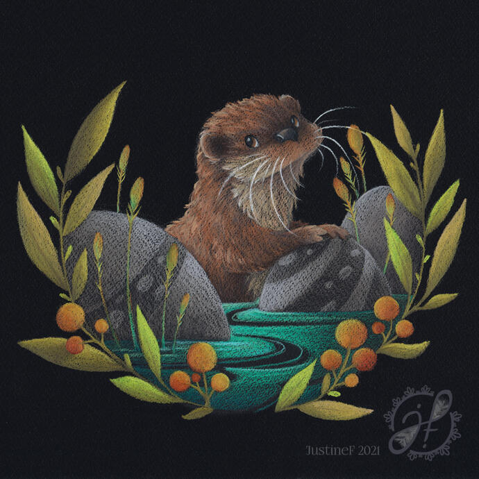 Refreshing Otter, Northern Nights series (coloured pencils on black paper)