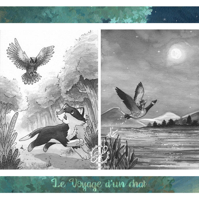 Samples from Le Voyage d'un chat (A Cat's Journey) by Christophe Bladé (published in 2019 by Éditions Ex Aequo, India ink on paper)